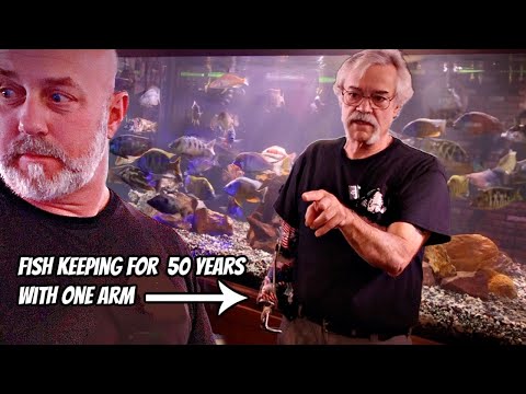 Vietnam Vet Uses Fish Tanks To Cure PTSD, Boxes Of Water Ep. 1