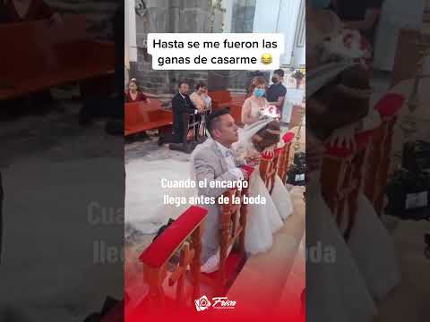 Se adelantó el bebé #boda #humor #shorts #shortsfeed #viral #viralvideo #youtubeshorts #viral
