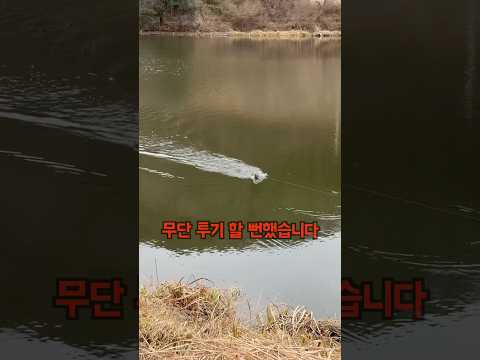 이제 물고기를 직접 보고 낚시 한다네요 ㄷㄷ #잠수함 #rc #낚시 #물고기