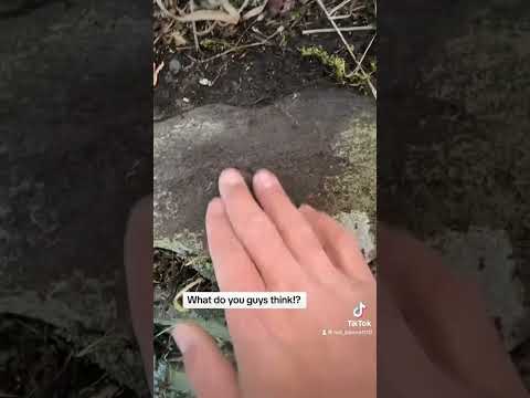 CRAZY FIND ON 200 YEAR OLD HOUSE??(UPDATE!)