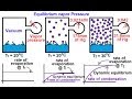 Vapor Pressure and Evaporation Concepts
