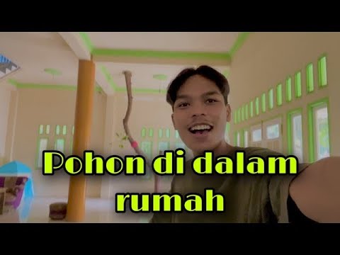 Rumah Pohon Di Kalimantan