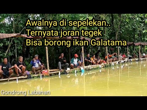 Bikin emosi lawan!!Sadis lawan dibikin melongo,Joran tegek kembali beraksi di kolam Galatama