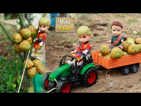 Miniature Coconut Rice Cooking | Mini Cooking | Tiny Cooking | Mini Food Cooking