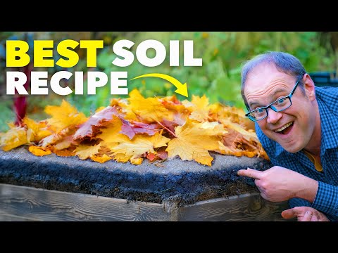 Do This Every Winter for Perfect Soil