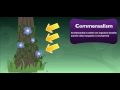 Understanding Symbiosis