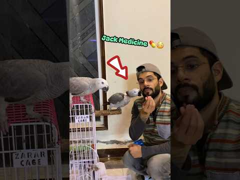 Jack Ne Medicine Kha Li 🦜😳 - LwM day 38/1000 @MudassirTalks