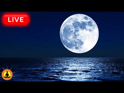 &#128308; Sleep Music 24/7, Deep Sleep Music, Peaceful Music, Relaxing, Sleep Relaxation, Sleep Meditation