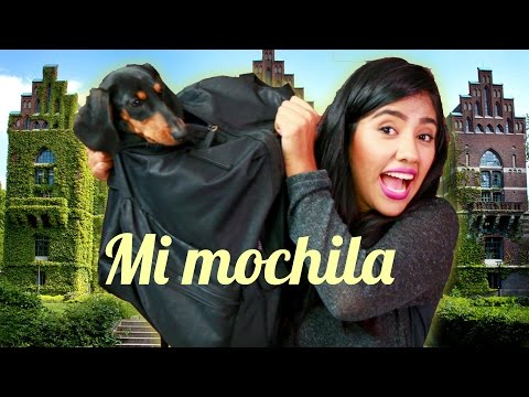 QUE HAY EN MI MOCHILA Y DIY REGRESO A CLASES | MUSAS KAREN LOS POLINESIOS