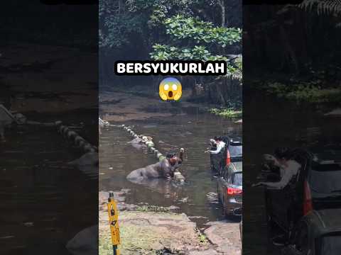 😱 Jika manusia tidak diciptakan sebaik-baik bentuk