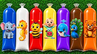 MENEMUKAN : Hewan Beruang, Panda, Dinosaurus, Zebra, Harimau, Baby JJ, Cocomelon.