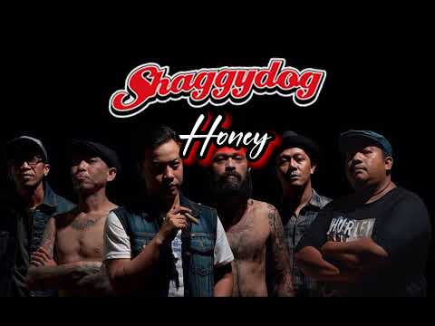 Shaggy Dog - Honey lirik video