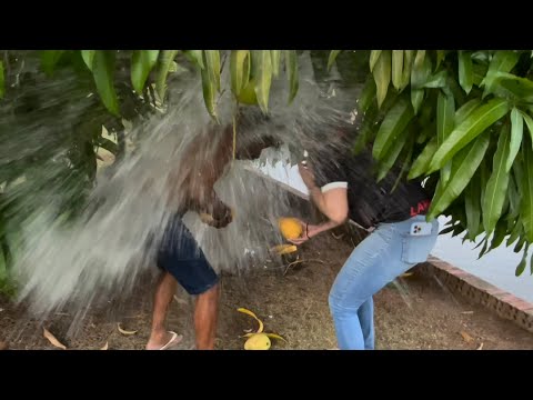 CHARLLES TROLA TIRINGA NO PÉ DE MANGA 😂 | COMÉDIA SELVAGEM
