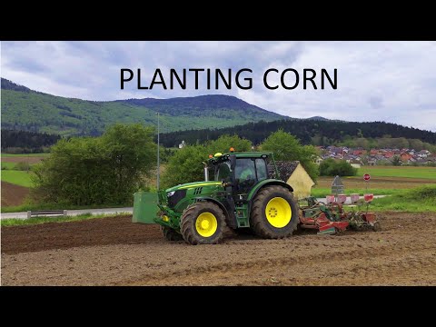John Deere 6R Planting Corn and Spreading Fertilizer in the Field