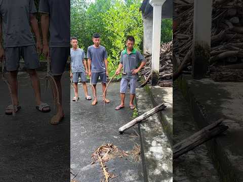 Khúc Gỗ Và Những Súc Vật | #shorts #youtubeshorts