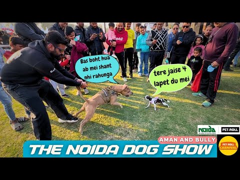 Bully vs Chihuahua🤯hogya Noida Biggest dog show mei - Petroll Carnival Year 2025