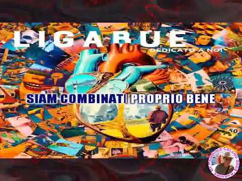 Ligabue   La metà della mela KARAOKE FAIR USE