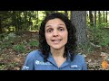 Insect Characteristics and Ecosystem Roles