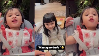 NGAKAK AZURA AMEENA REBUTAN PELUK PAPA MAMA PULANG DARI SINGAPURA