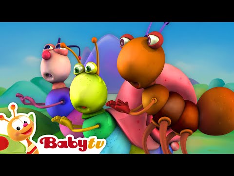 Música árabe con la Big Bugs Band 🐜 🐞 🐛 | Música para niños pequeños 🎵 @BabyTVSP