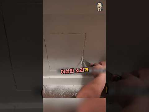 며칠 동안 벽안에서 들려온 이상한 소리의 정체ㄷㄷㄷ