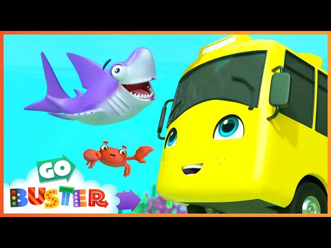 🦈 Baby Shark Family in the Ocean! 🐠🌊| Go Buster - Bus Cartoons & Kids Stories