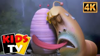 Liebe Liebe Liebe 2 mit Larva!🐛 | Zeichentrick Komödie Video für Vorschulkinder