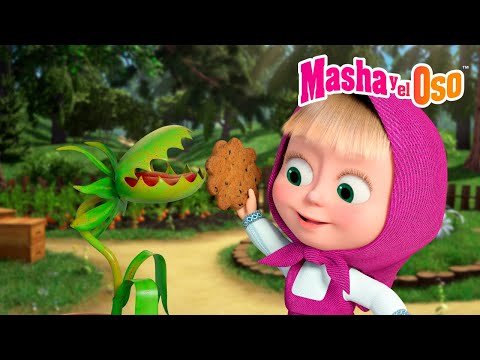 🤗 ¡Seamos amigos! 😋🎉 Colección de dibujos animados 📺 Masha y el Oso Castellano
