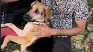 Imitador de residente lo encontré triste con su perro