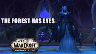 Awaken The Dreamer Storyline World Of Warcraft