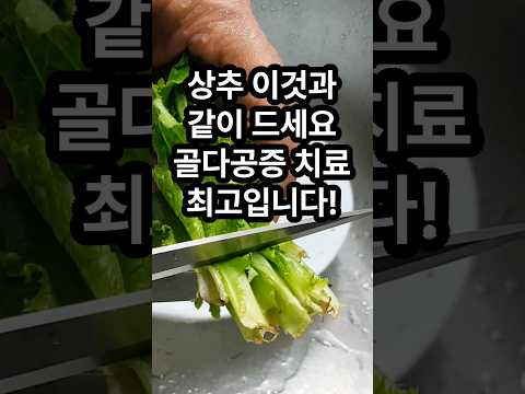 상추 이것과 같이 드세요! 골다공증에 최고입니다. 골다공증에 좋은 음식 상추 효능 #골다공증 #상추