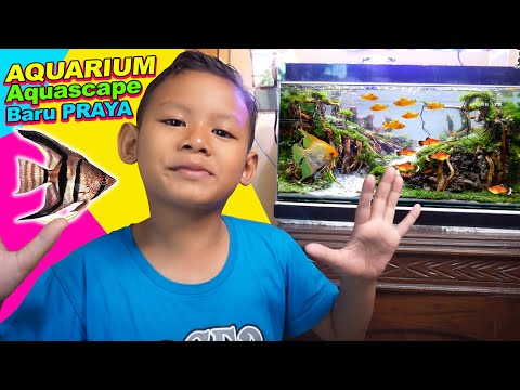 Praya Membuat Aquarium Aquascape Baru, Dengan Tanaman Asli |
