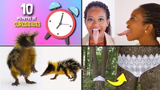 30 COISAS QUE VOCÊ NÃO SABIA EM 10 MINUTOS 🔍🕒 [229]
