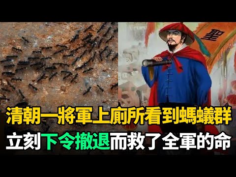 清朝一將軍上廁所看到一群螞蟻，忙傳令下屬：火速撤退，違令者斬！