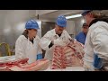 Trends and Insights in the Meat Industry
