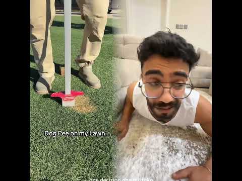 حنان الام 😂🤣 #رامي_موصللي #funny #دحمان #رامي_موصللي #دحمان #comedyshorts