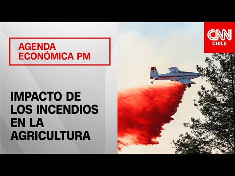 El impacto de los incendios forestales en la agricultura de la zona sur