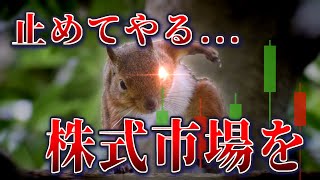 力業で株式市場を恐怖に陥れたリス等　過去の動物ニュース4選