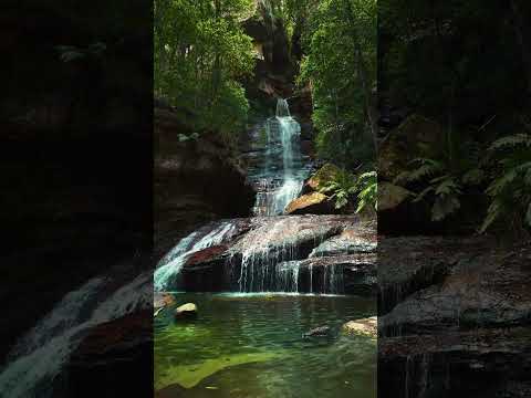 Relaxing Zen Music with Nature Sounds for Meditation, Spa, Sleep & Relaxation
