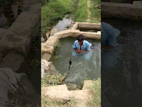 naag oye naag oye #snakevideo #nagin. #naag #viralshorts