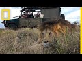 Understanding Crittercam and Wildlife Photography