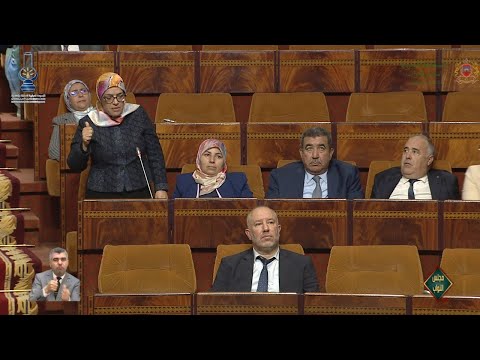 عفيف: تنتقد الترويج للشذوذ الجنسي في المهرجانات السينمائية بالمغرب.