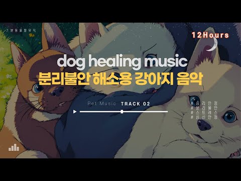 중간광고없음 💖🐶강아지가 좋아하는 힐링 음악🎵 외출시 틀어주세요🐶 강아지 안정되는 음악 💖강아지 분리불안 해소 12시간🎵  dog healing music12Hours