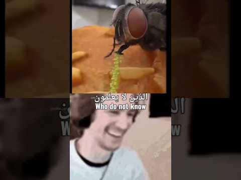 معجزه قرانيه (من يفهم الاعجاز يشرح في التعليقات ويذكر الله) ولا تنسي اللايك والاشتراك #مصر #الجزائر
