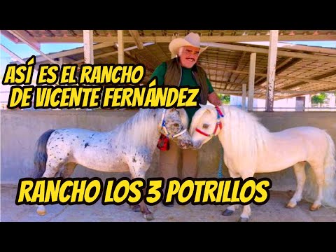 El Rancho de Vicente Fernandez los 3 potrillos la Casa de Vicente Fernandez