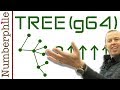 Understanding Large Numbers and Fast Growing Functions