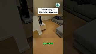 Property Transformation: Before & After Amazing Results!