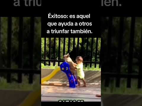 #motivacional #perro #inspirador #nuncaterindas #perros #motivar #inspiracional #humor #bebes #niño