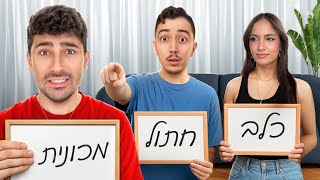 נחשו את המתחזה! (מי השקרן הסודי?)