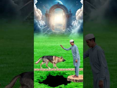 Qurbani Mubarak😍#shorts#shortvideo#islamicshorts#shortsfeed#trending#qurbani#animals#halal